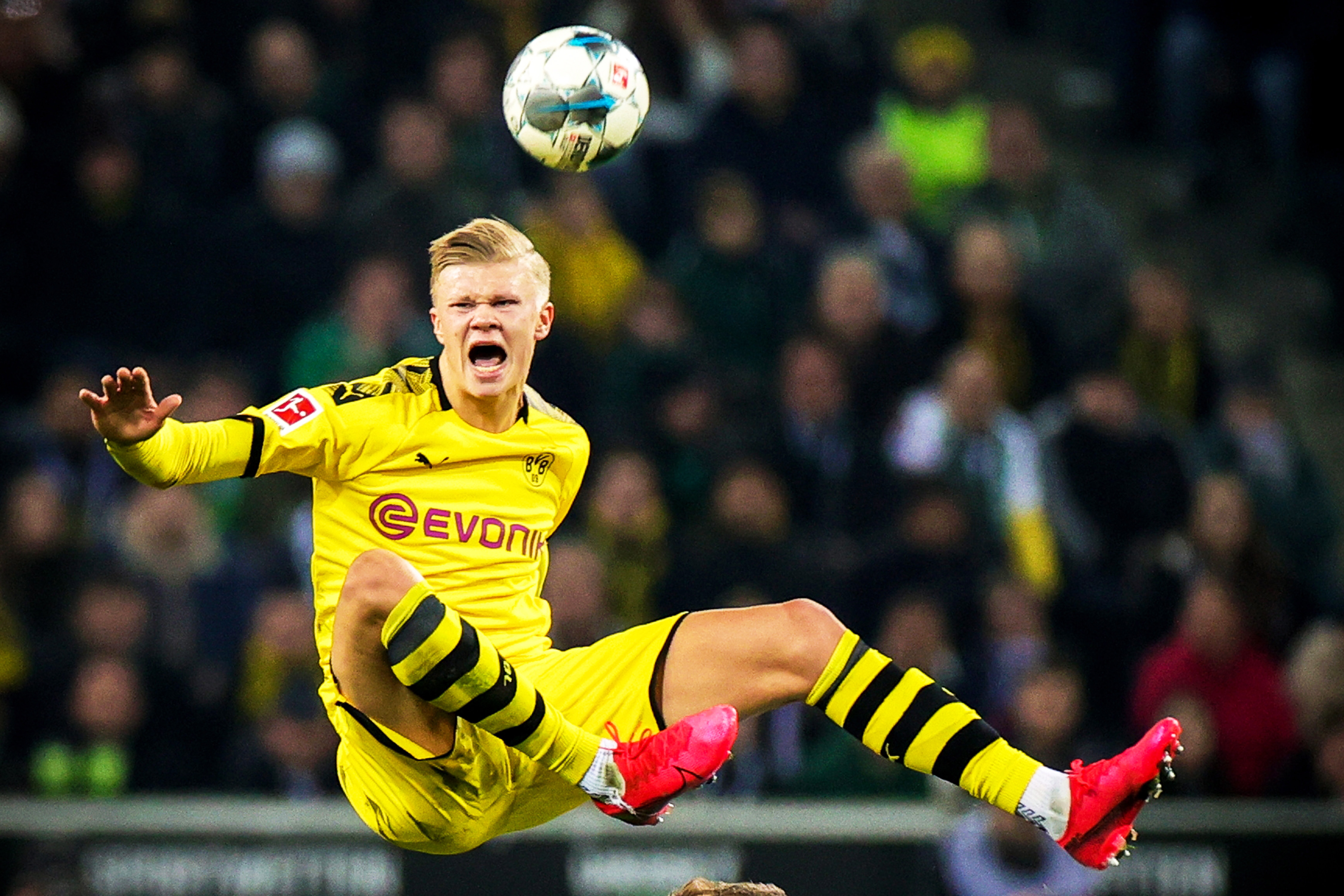 与对位管理 与对位管理